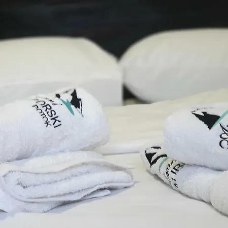 Zlatiborski Potok Apartment